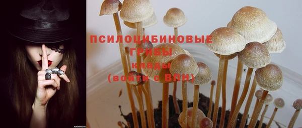 твердый Алексеевка