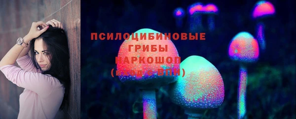 твердый Алексеевка