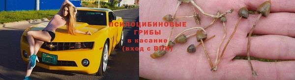 соль ск Алзамай