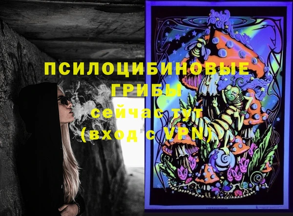твердый Алексеевка