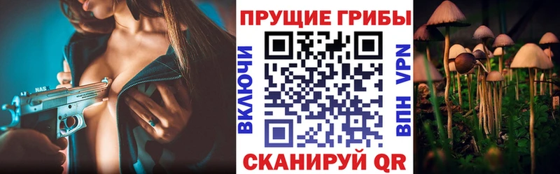 mega как войти  Петушки  Псилоцибиновые грибы мухоморы 